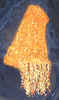 1scarf.jpg (108891 bytes)